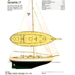 tayana brochure klacko