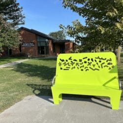 doodle bench Newcastle